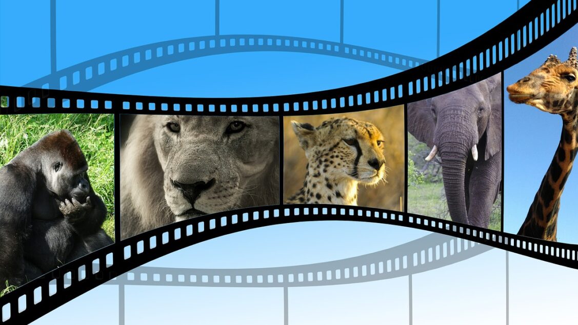 movie